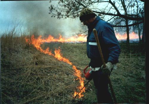 Prairie Burn
