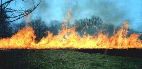 Prairie Burn