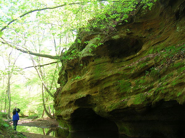 Rocky Branch Nature Preserve 