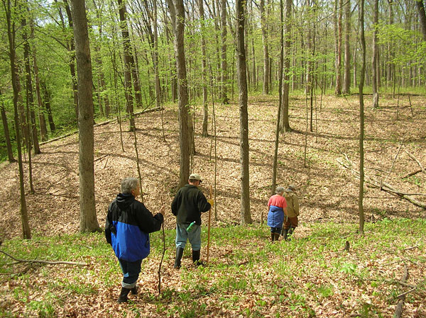 Rocky Branch Nature Preserve 