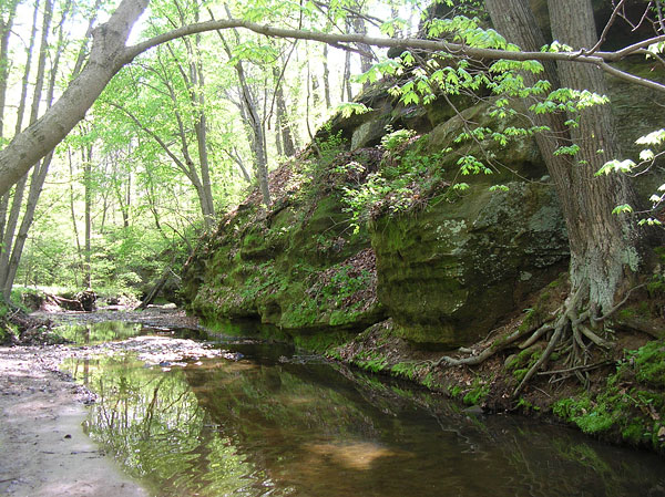 Rocky Branch Nature Preserve 