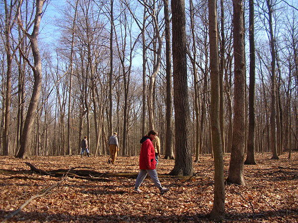 Walnut Point State Park